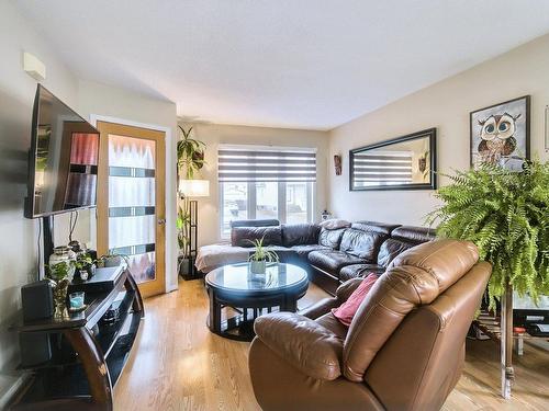 Salon - 182 Rue De Beaujeu, Gatineau (Masson-Angers), QC - Indoor Photo Showing Living Room