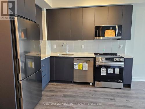 717 - 225 Malta Avenue E, Brampton, ON - Indoor Photo Showing Kitchen With Stainless Steel Kitchen With Upgraded Kitchen