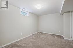 Basement with carpet - 