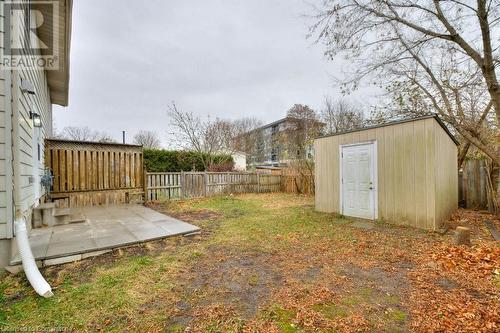 View of yard with a patio and a storage shed - 24 Karen Walk, Waterloo, ON - Outdoor