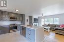 548 8Th Line S Dummer Road, Douro-Dummer, ON  - Indoor Photo Showing Kitchen 