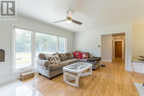 548 8Th Line S Dummer Road, Douro-Dummer, ON - Indoor Photo Showing Living Room