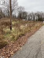 Driveway in, hydro at Road - 