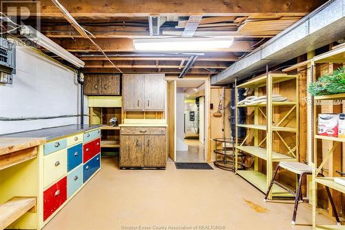 22 Georgia Avenue, Leamington, ON - Indoor Photo Showing Basement