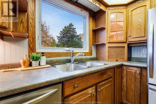 22 Georgia Avenue, Leamington, ON - Indoor Photo Showing Kitchen With Double Sink