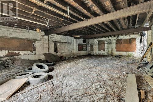 951 Dougall Avenue, Windsor, ON - Indoor Photo Showing Basement