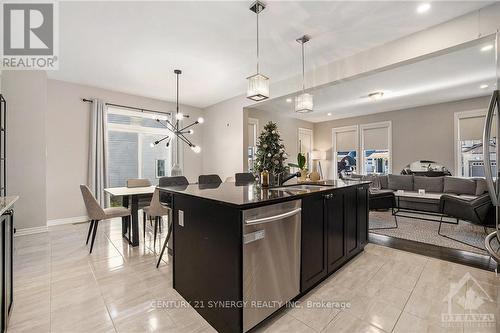 217 Cranesbill Road, Ottawa, ON - Indoor Photo Showing Kitchen With Upgraded Kitchen