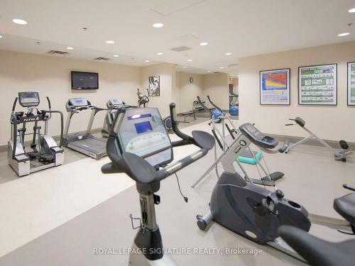 623-120 Dallimore Circ, Toronto, ON - Indoor Photo Showing Gym Room