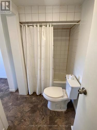 21 Steward Street, Brantford, ON - Indoor Photo Showing Bathroom