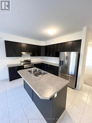 23 Sleeth Street, Brantford, ON - Indoor Photo Showing Kitchen With Stainless Steel Kitchen With Double Sink