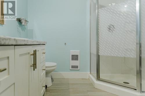 265 Main Street, Wing'S Point, NL - Indoor Photo Showing Bathroom