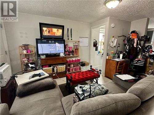 275 Whittaker Street, Sudbury, ON - Indoor Photo Showing Living Room