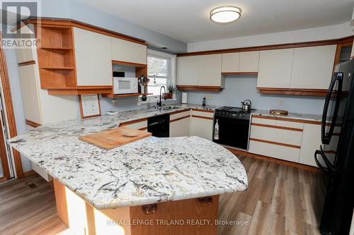 329 Regal Drive, London, ON - Indoor Photo Showing Kitchen With Double Sink