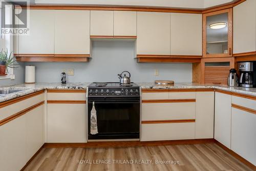 329 Regal Drive, London, ON - Indoor Photo Showing Kitchen With Double Sink