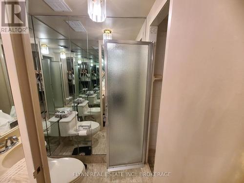 405 - 1201 Steeles Avenue W, Toronto (Westminster-Branson), ON - Indoor Photo Showing Bathroom