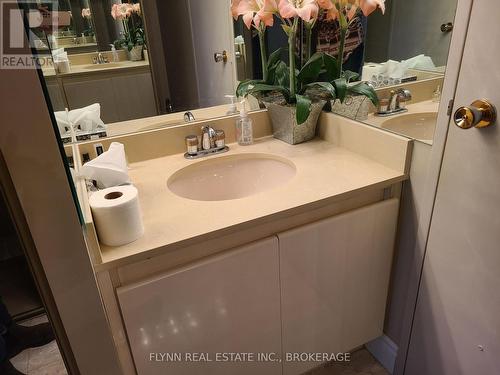 405 - 1201 Steeles Avenue W, Toronto (Westminster-Branson), ON - Indoor Photo Showing Bathroom