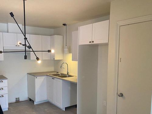 Logement - 593  - 597 Rue Belcourt, Drummondville, QC - Indoor Photo Showing Kitchen With Double Sink