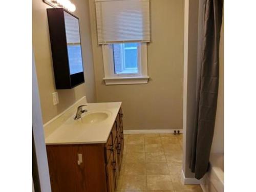 233 Cameron St, Thunder Bay, ON - Indoor Photo Showing Bathroom