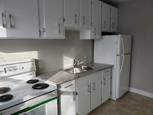 233 Cameron St, Thunder Bay, ON - Indoor Photo Showing Kitchen With Double Sink