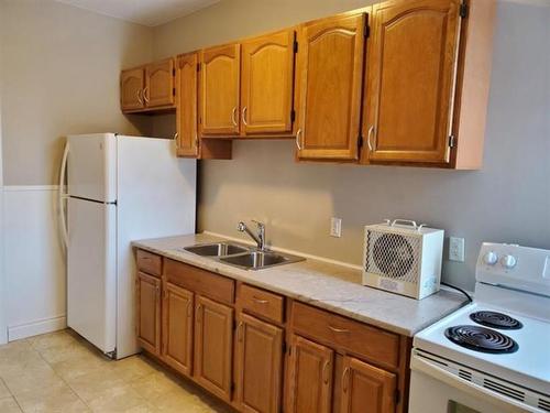 233 Cameron St, Thunder Bay, ON - Indoor Photo Showing Kitchen With Double Sink