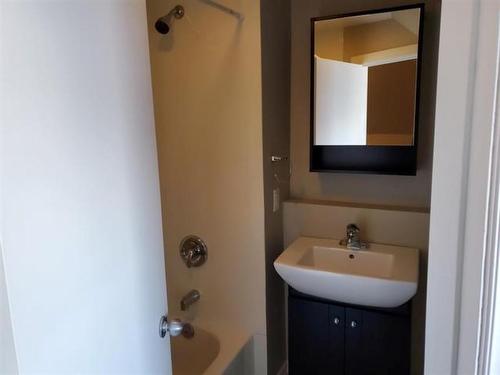 233 Cameron St, Thunder Bay, ON - Indoor Photo Showing Bathroom