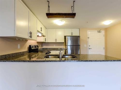 403-45 Kingsbury Sq, Guelph, ON - Indoor Photo Showing Kitchen With Double Sink