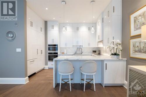 2003 - 111 Champagne Avenue S, Ottawa, ON - Indoor Photo Showing Kitchen With Upgraded Kitchen