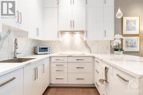 2003 - 111 Champagne Avenue S, Ottawa, ON - Indoor Photo Showing Kitchen With Upgraded Kitchen