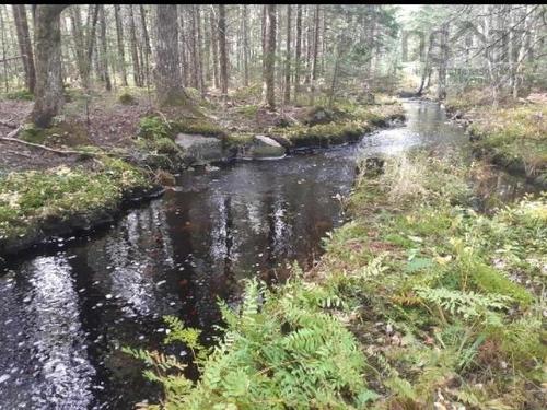 Lots Sissiboo Road, Bear River, NS 