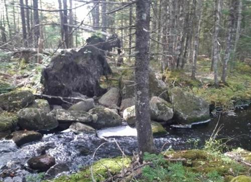 Lots Sissiboo Road, Bear River, NS 