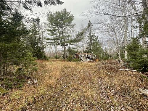 Lots Sissiboo Road, Bear River, NS 