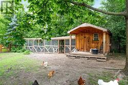 Charming chicken house with hydro, water plus fenced free-range area - 