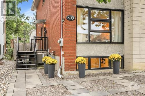 809 Maplewood Avenue, Ottawa, ON - Outdoor