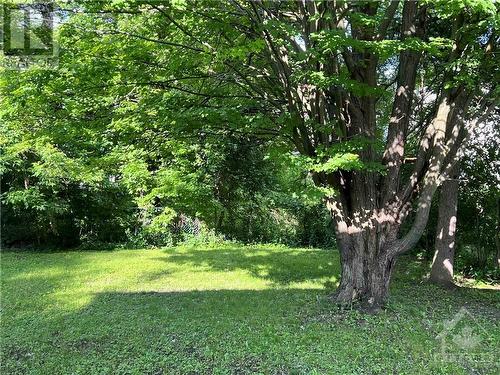 Sprawling backyard awaits your imagination - 1989 Naples Avenue, Ottawa, ON - Outdoor