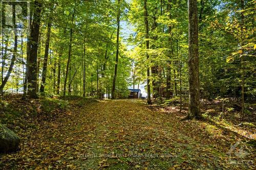 365 Hardwood Ridge Road, Lanark Highlands, ON - Outdoor