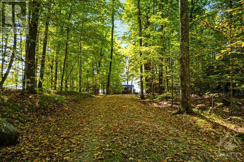 365 Hardwood Ridge Road, Lanark Highlands, ON - Outdoor