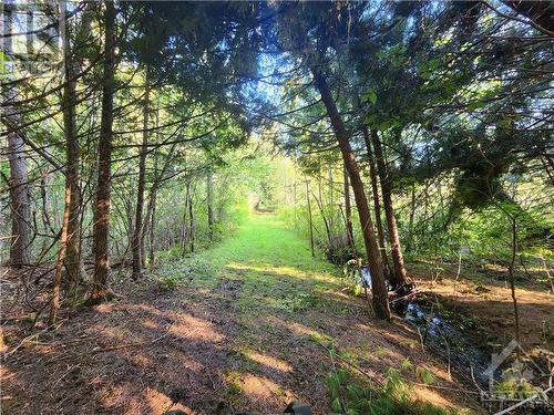 Trails through the woods - 2499 Bathurst Concession 2 Road, Perth, ON - Outdoor With View