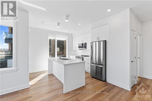 103 - 611 Wanaki Road, Ottawa, ON - Indoor Photo Showing Kitchen