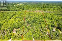 Forest of mature hardwoods and softwoods - 