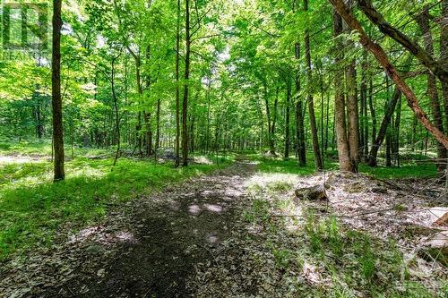 Groomed trails through the woods - 1102 Ebbs Bay Road, Carleton Place, ON - Outdoor