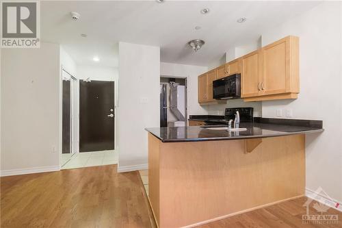 314 Central Park Drive Unit#104, Ottawa, ON - Indoor Photo Showing Kitchen With Double Sink