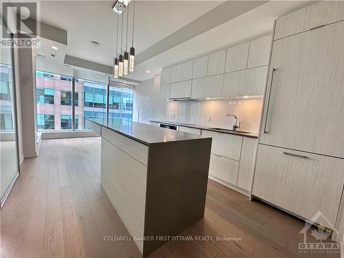 1111 - 101 Queen Street, Ottawa, ON - Indoor Photo Showing Kitchen