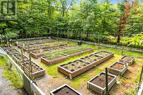 Garden beds for fresh vegetables - 150 Dewolfe Street, Ottawa, ON - Outdoor