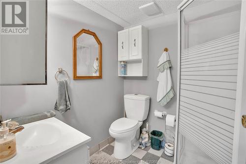 2664 Rivard Avenue, Windsor, ON - Indoor Photo Showing Bathroom