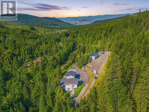 8735 Forsberg Road, Vernon, BC - Outdoor With View