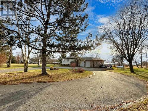 534 Varney Road, Georgina, ON - Outdoor