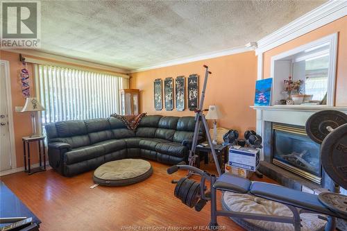 1283 Aubin Road, Windsor, ON - Indoor Photo Showing Living Room With Fireplace