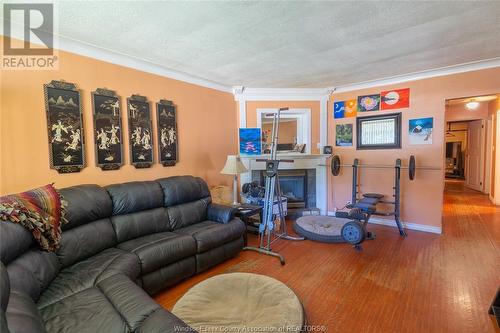 1283 Aubin Road, Windsor, ON - Indoor Photo Showing Living Room With Fireplace