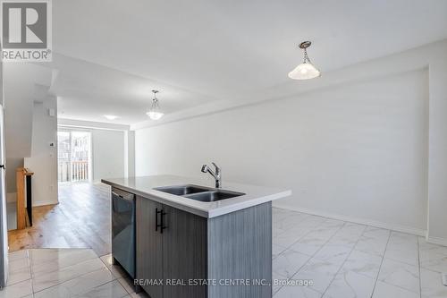 17 Arcola Street, Brampton, ON - Indoor Photo Showing Kitchen With Double Sink