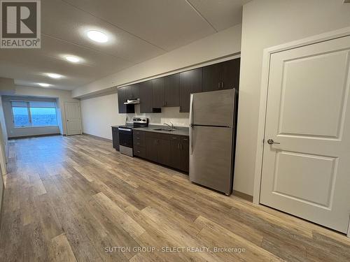 1009 - 99 Pond Mills Road, London, ON - Indoor Photo Showing Kitchen With Double Sink